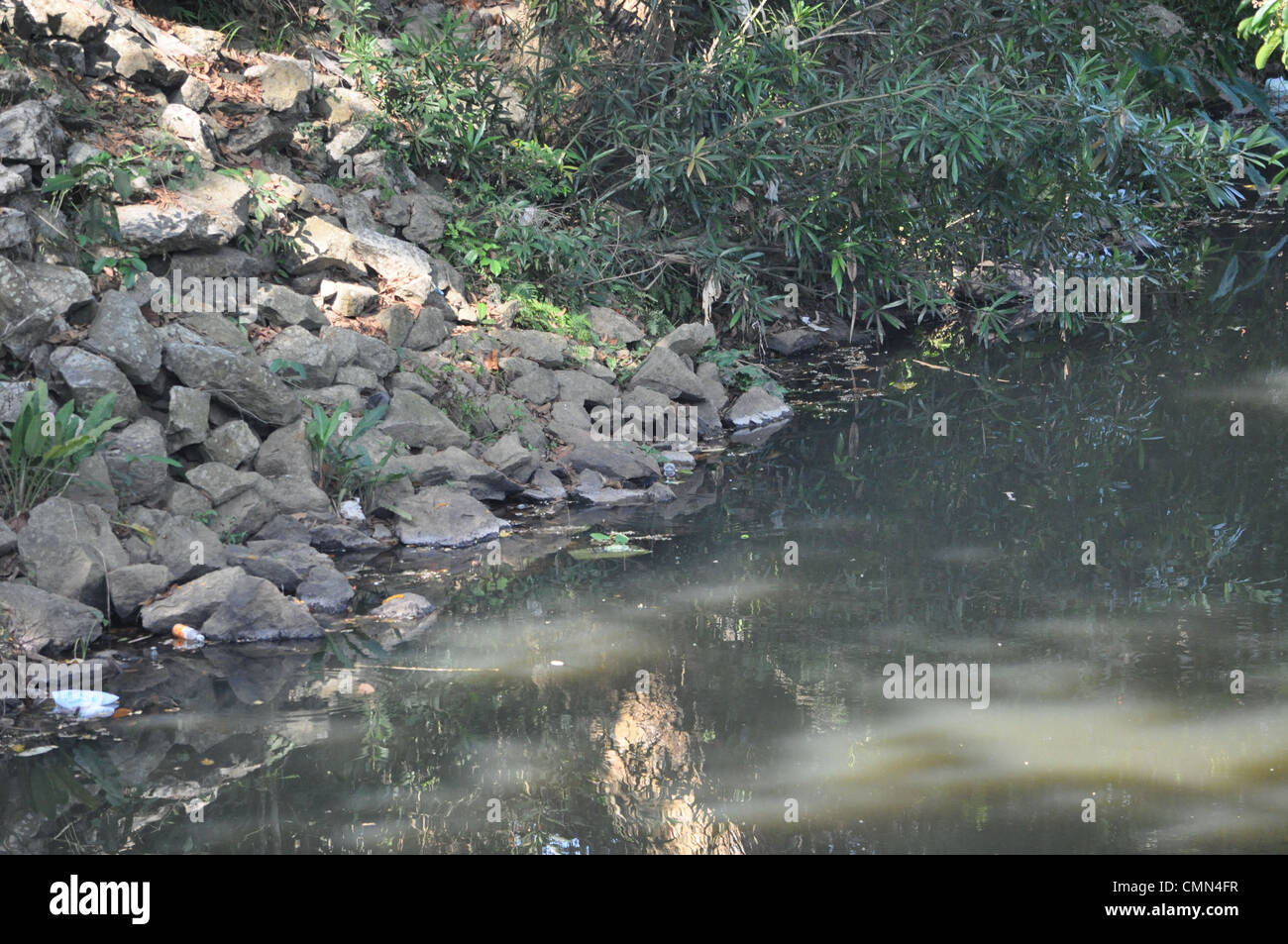 Dirty water flows along a rivulet near Palode Stock Photo
