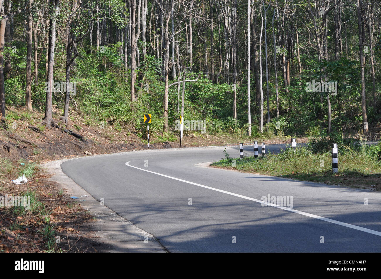 A beautiful country road with a sharp curve indicated by a road sign board along side a teak wood plantation Stock Photo