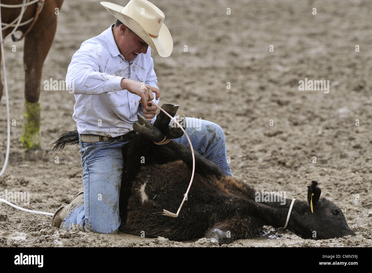 USA, Salmon, Idaho, TieDown Roping, High School Rodeo Stock Photo Alamy