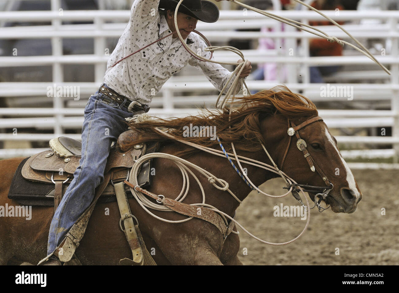 USA, Salmon, Idaho, TieDown Roping, High School Rodeo Stock Photo Alamy