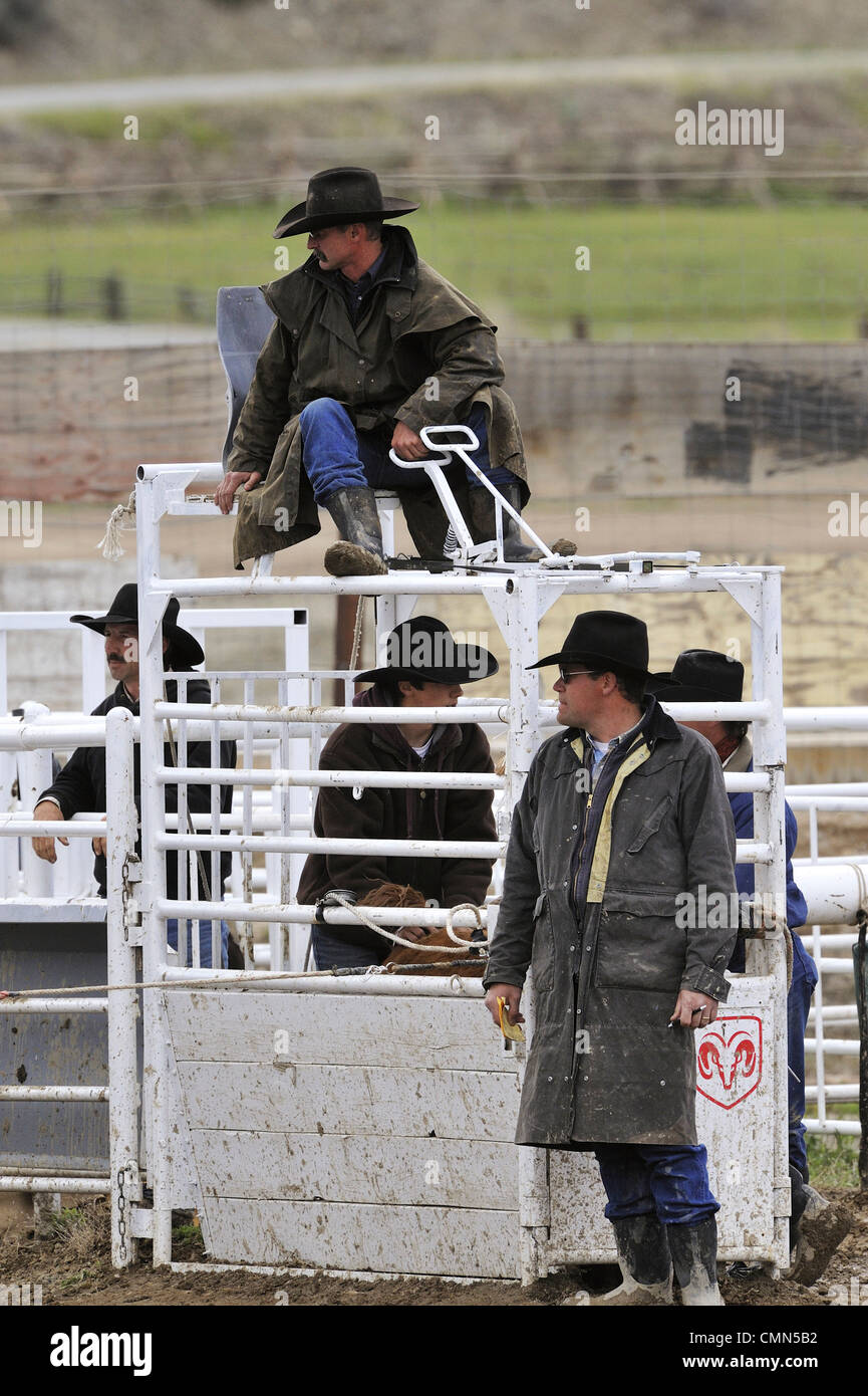 USA, Salmon, Idaho, TieDown Roping, High School Rodeo Stock Photo Alamy