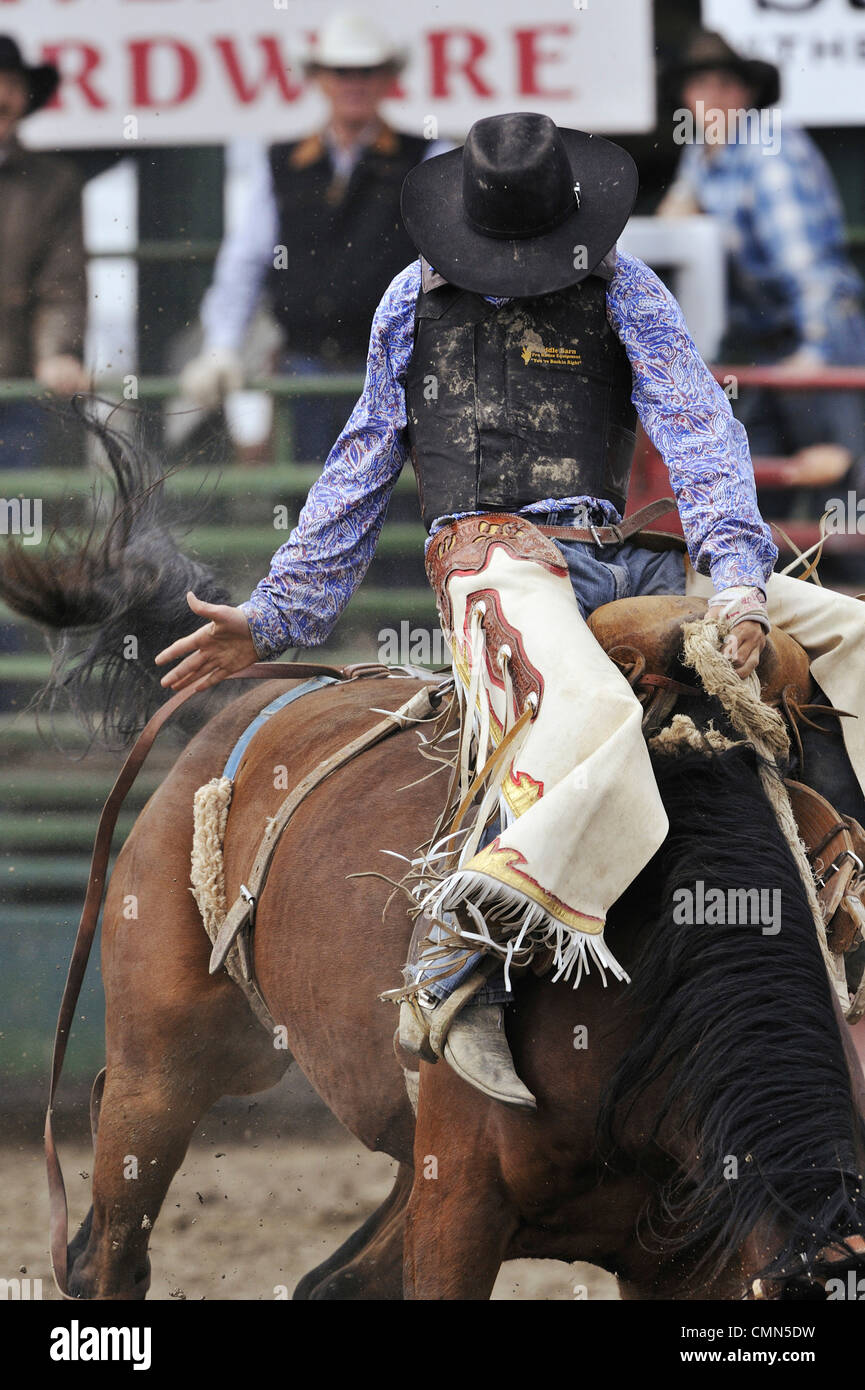 USA, Salmon, Idaho, Bronc Riding, High School Rodeo Stock Photo Alamy