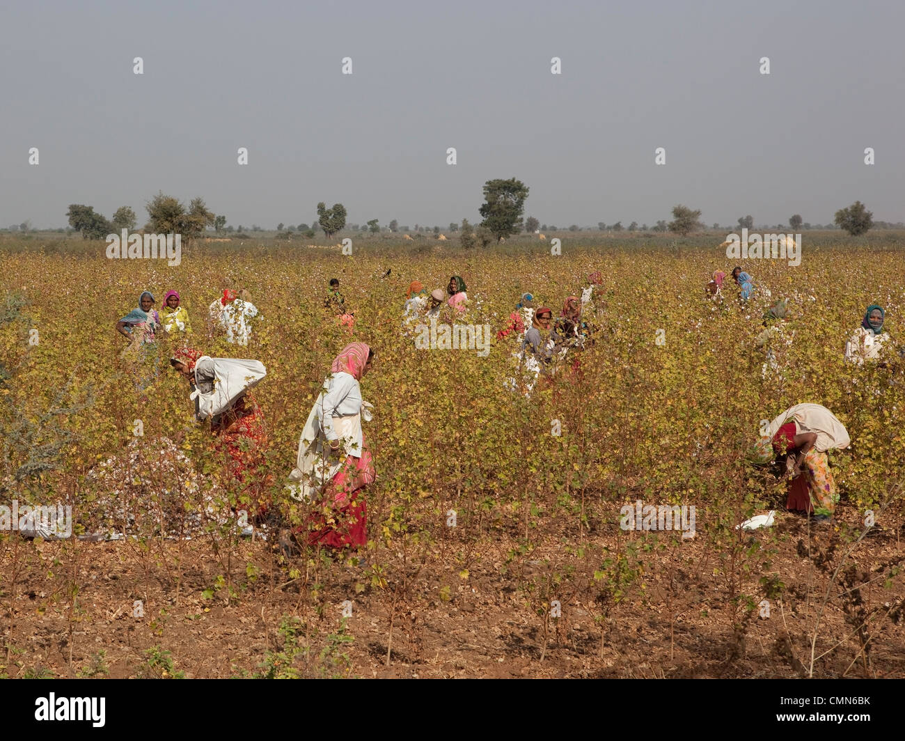Gujarat hi-res stock photography and images - Alamy