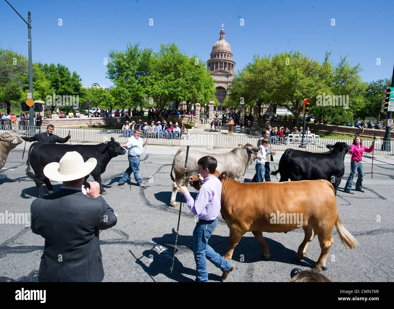 Youth parade their champion steer at the Texas Capitol in final Grand ...