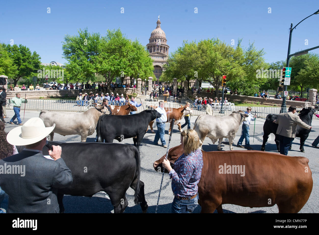 Youth parade their champion steer at the Texas Capitol in final Grand ...