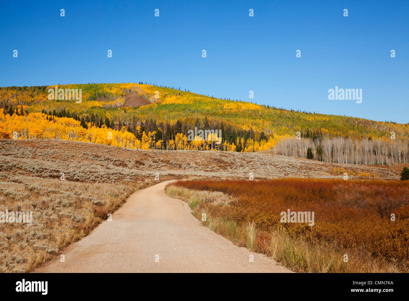 Utah; Uintah National Forest, Soapstone Basin Road Stock Photo Alamy