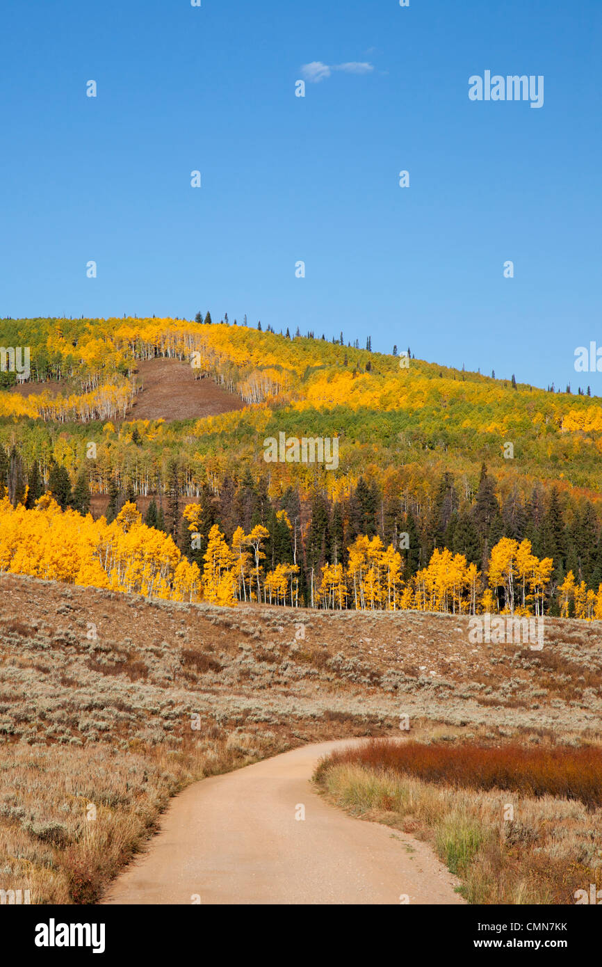 Utah; Uintah National Forest, Soapstone Basin Road Stock Photo Alamy
