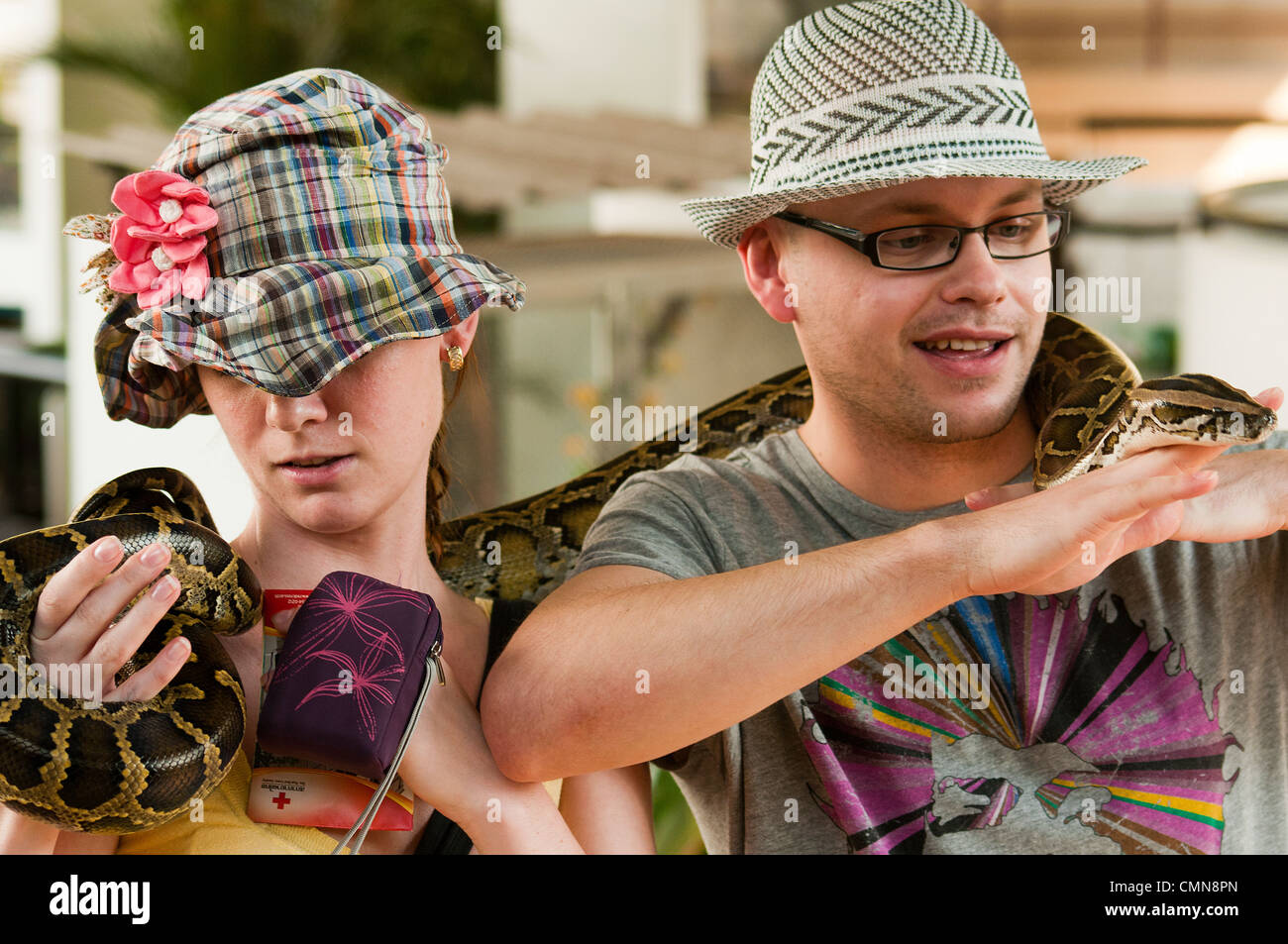 having fun with a Burmese python (Python molurus bivittatus) in ...