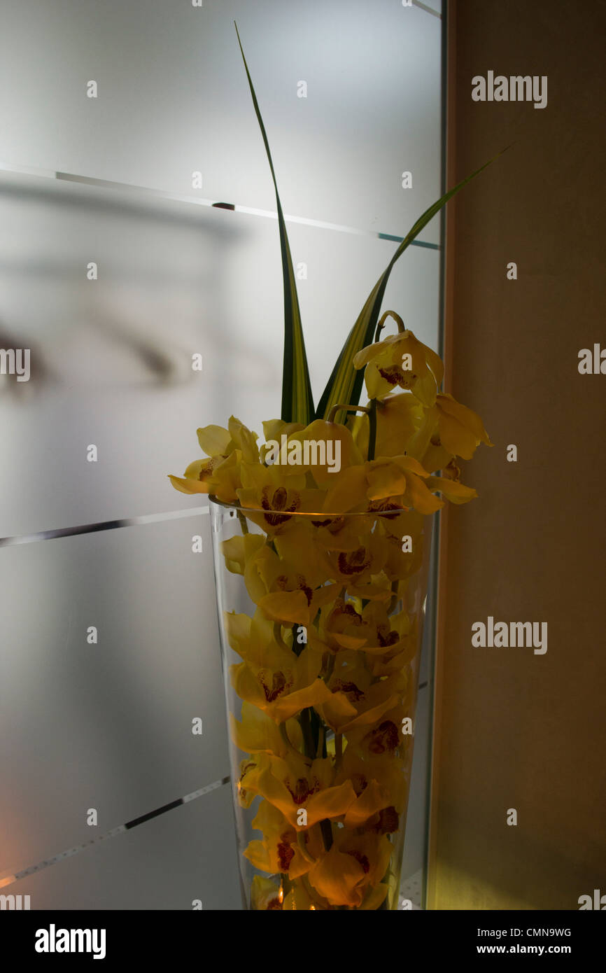 Vase of flowers (orchids) in front of frosted glass Stock Photo