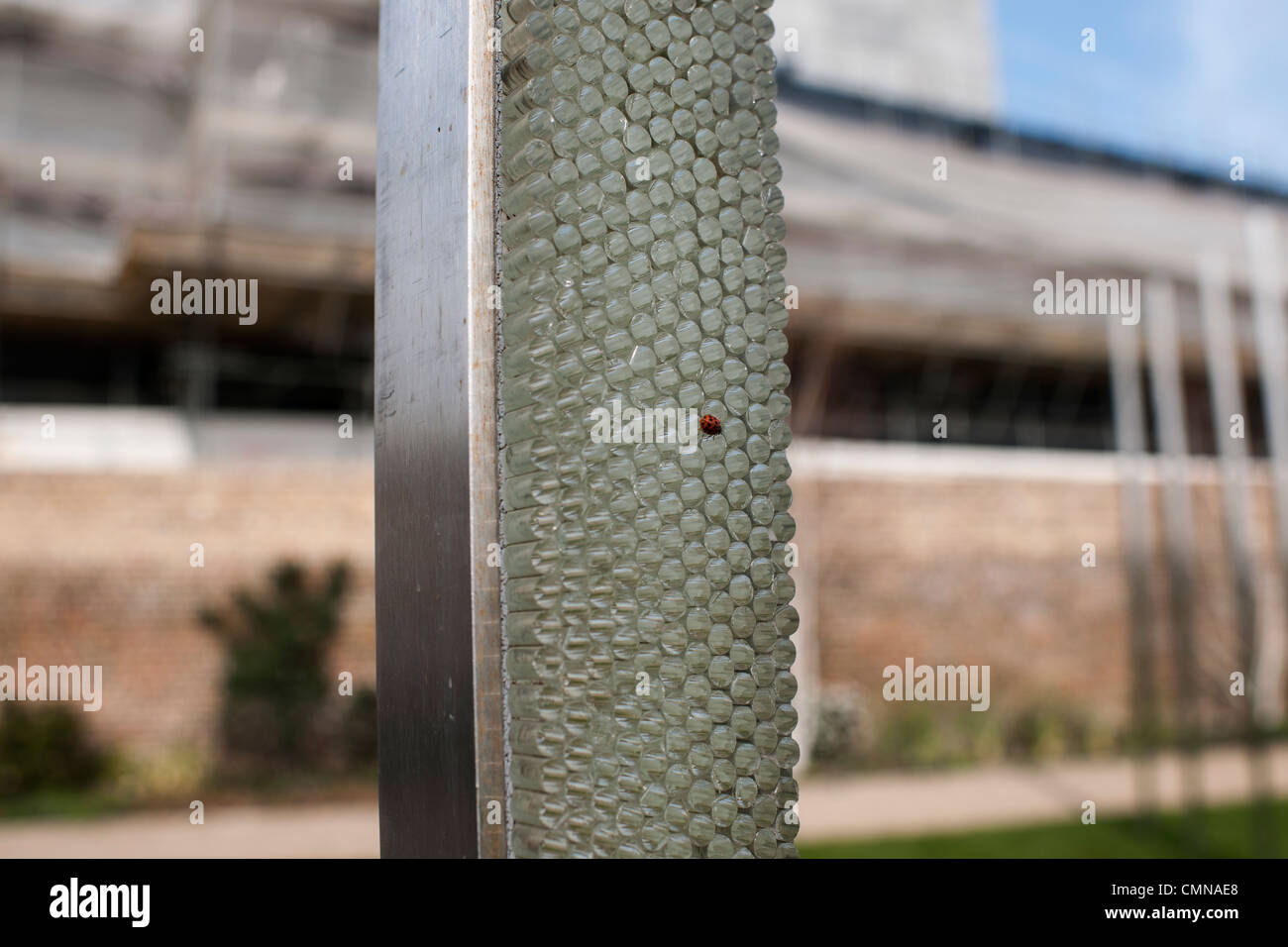 A ladybird explores an art installation called Vein by Tim Morgan, in the grounds the Royal Opera House site at Thurrock, Essex. Stock Photo