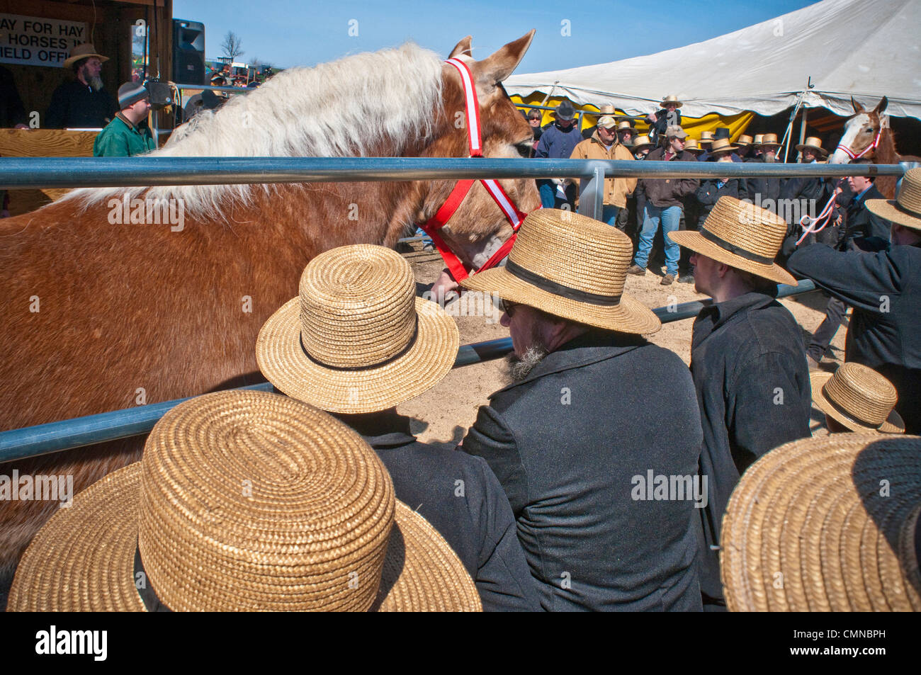 Lancaster County PA Pennsylvania USA Amish farmer, spring mud sale auction Stock Photo Alamy