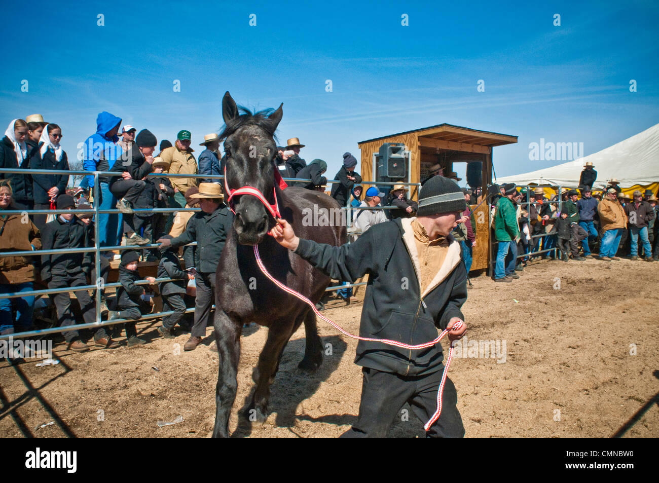 Lancaster County PA Pennsylvania USA Amish farmer, spring mud sale auction Stock Photo