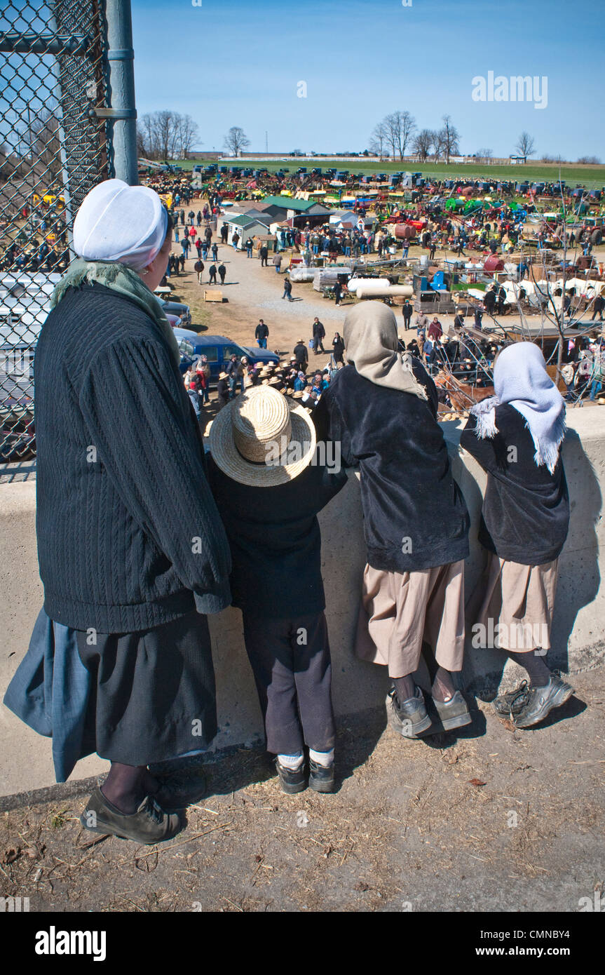 Lancaster County PA Pennsylvania USA Amish farmer, spring mud sale auction Stock Photo