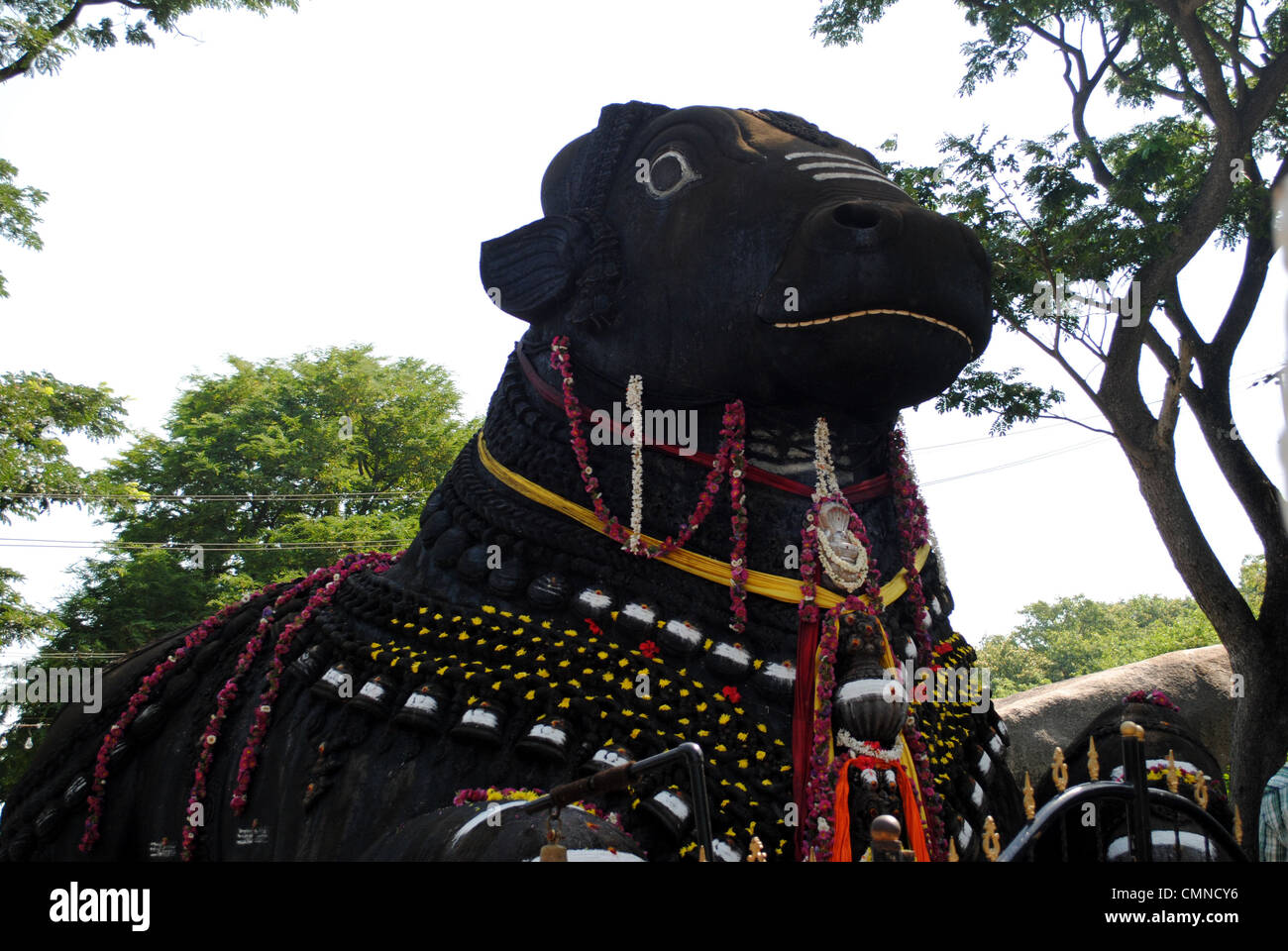 Statue of Nandi at Chamundi Hills, Mysore, India nandhi Stock Photo