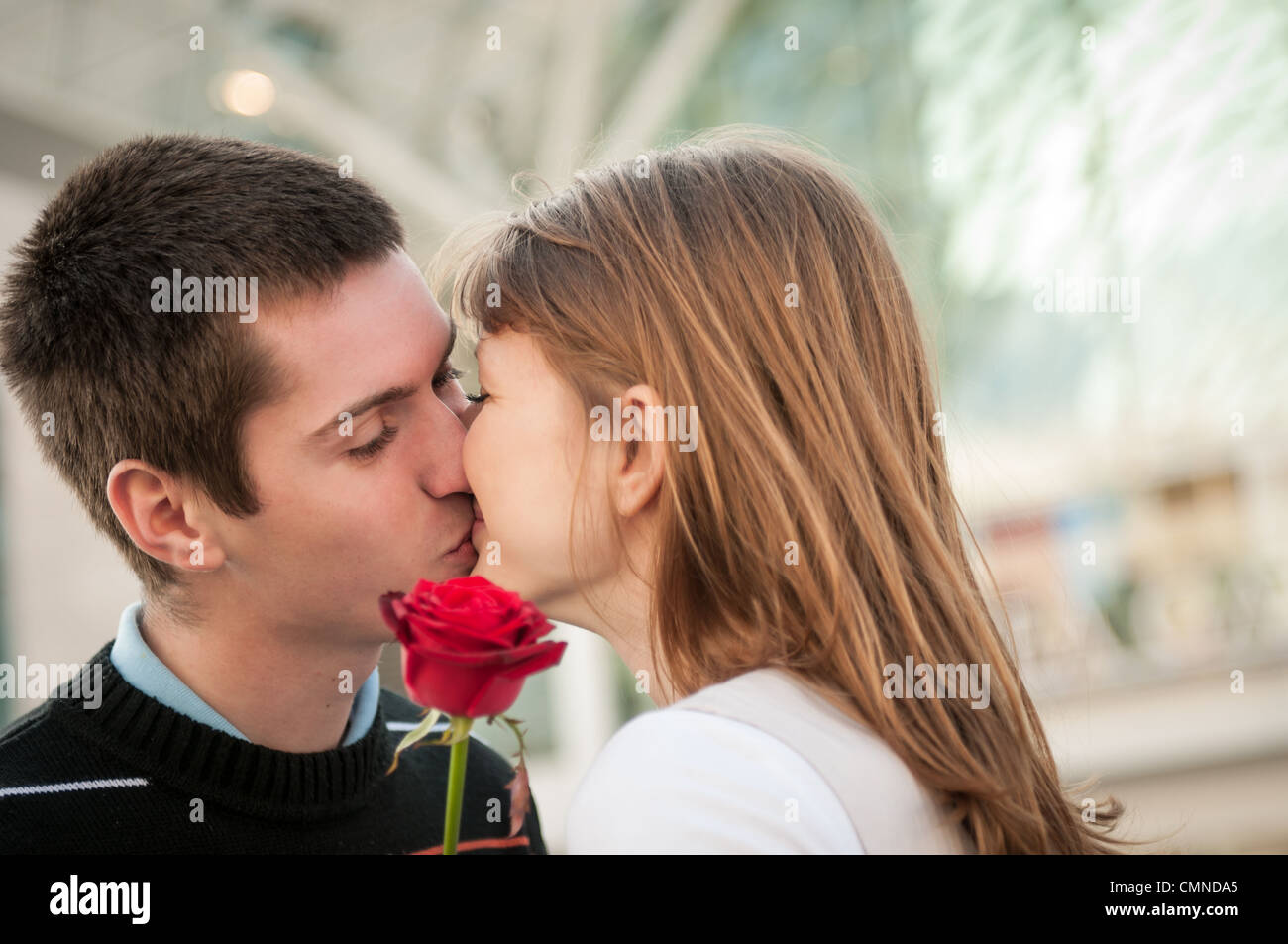 Young man handing over a flower (red rose) to woman and kissing ...