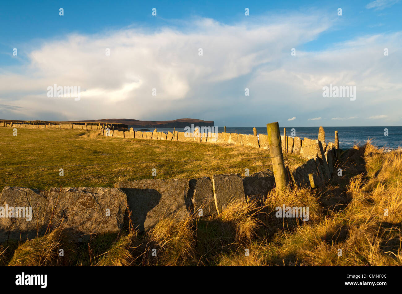 Dunnet Head and a field walled with slabs of Caithness sandstone.  Near Scarfskerry, Caithness, Scotland, UK. Stock Photo