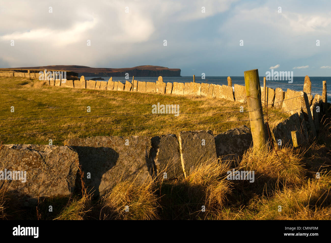 Head and a field walled with slabs of Caithness sandstone. Near