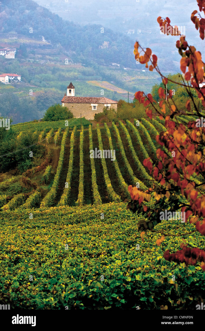 Langhe vineyards at the hamlet San Martino on the road to  Castino old church Stock Photo