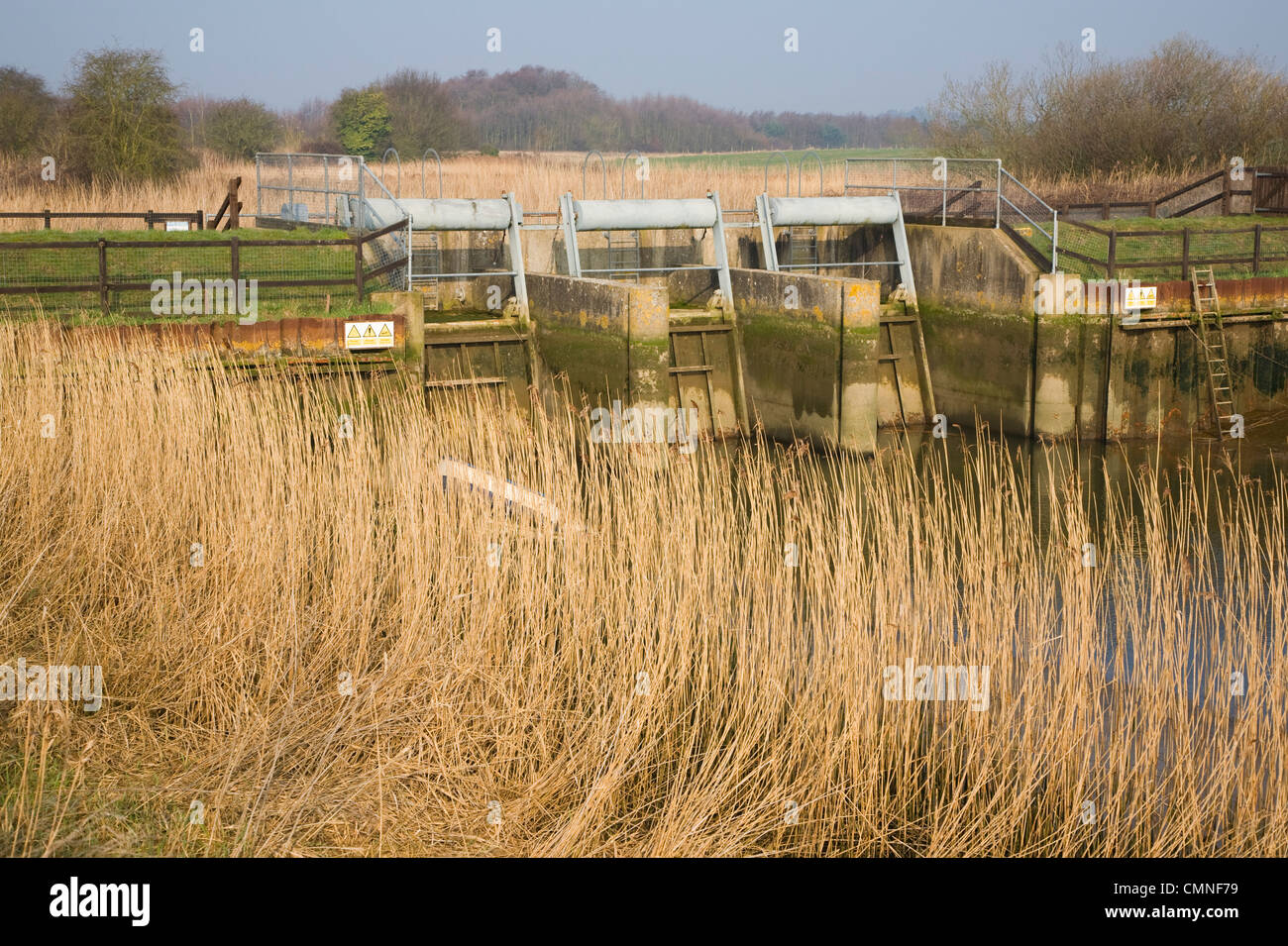 River Alde water control sluice structure in reeds at Snape, Suffolk, England Stock Photo