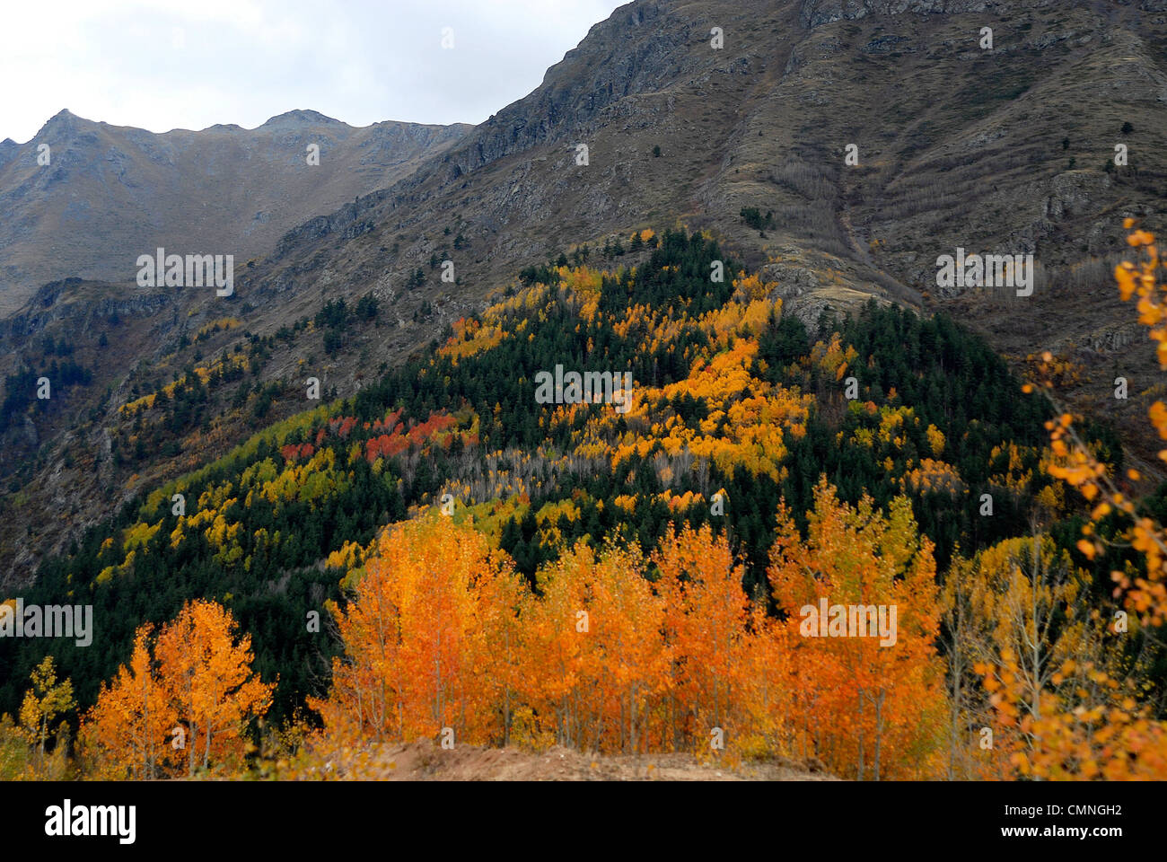 Autumn in the Kackar mountains of Jordan. Stock Photo
