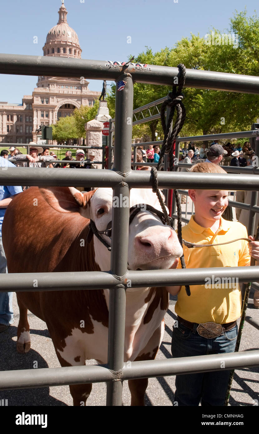 Young boy shows off his champion grand champion steer in front of Texas Capitol building Stock Photo