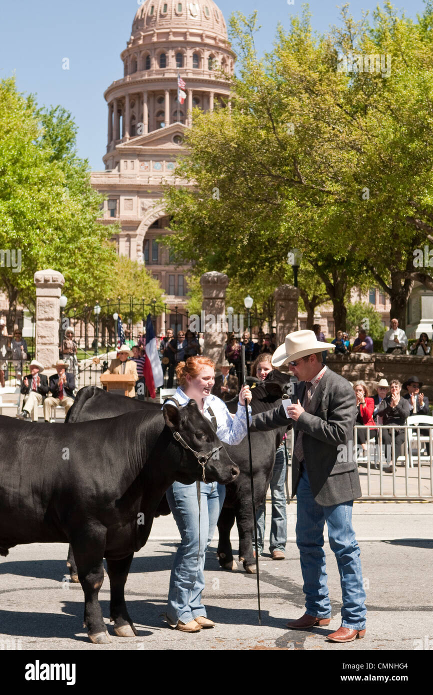 Contestants in the Grand Champion Steer event parade entries front of the Texas Capitol during the 75th anniversary of Rodeo Stock Photo
