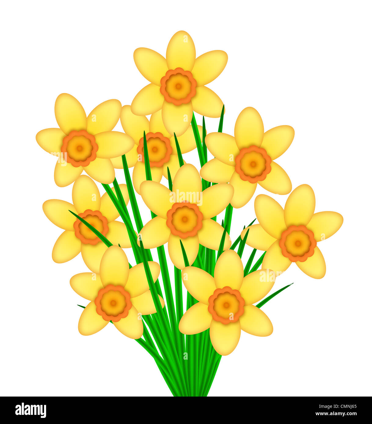 Yellow Daffodil Spring Flowers with Orange Center Bunch Illustration