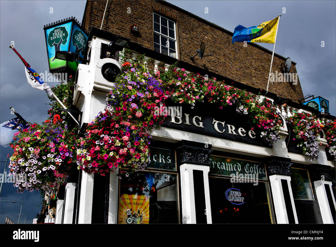 The Big Tree, Irish pub in Dublin Stock Photo