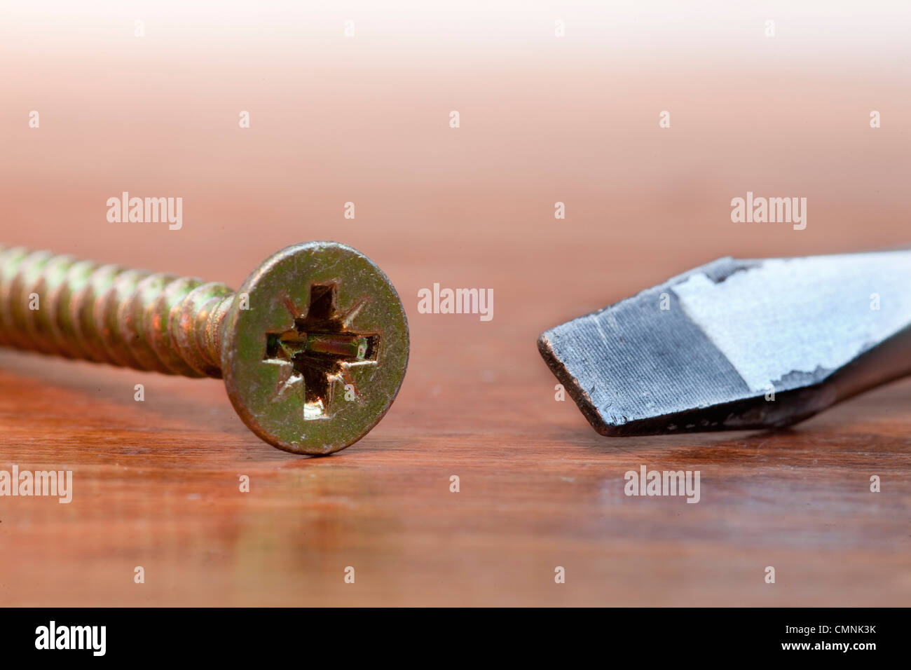 Incompatible phillips screw with a flat head screwdriver Stock Photo