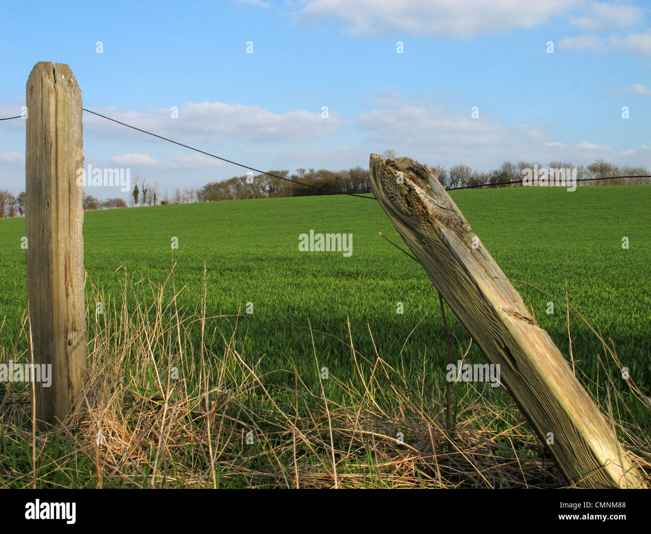 A broken fence, with open fields and a coppice in the background Stock Photo