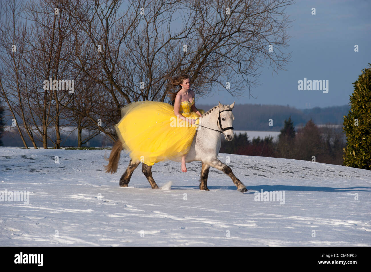 Horse Prom Dresses