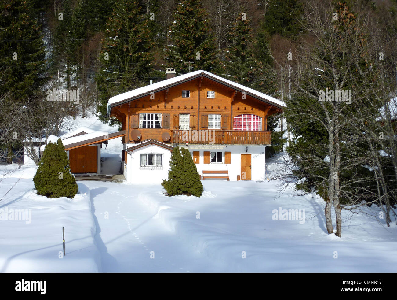 Brown chalet made of wood in front of trees in Jura mountain