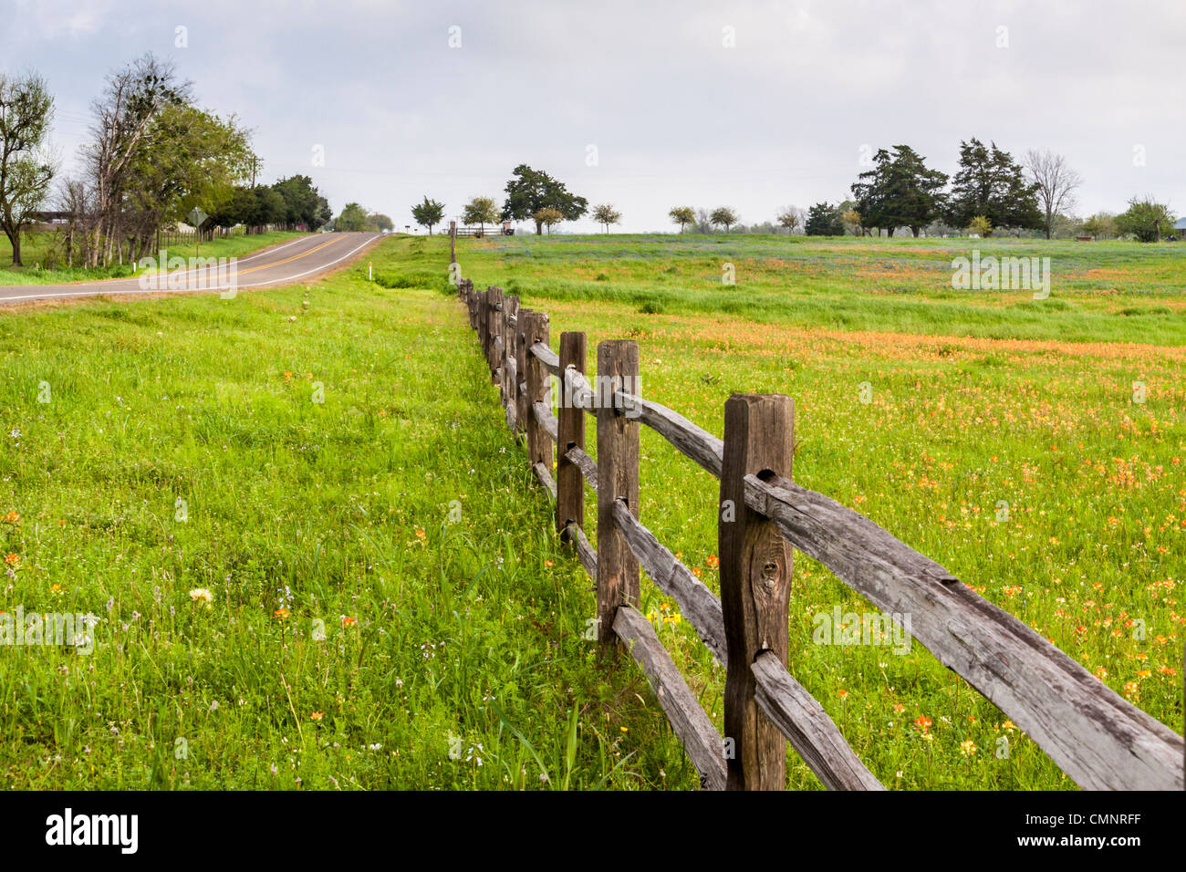 Fence and field of wildflowers, with Indian Paintbrush near Whitehall, Texas. Stock Photo
