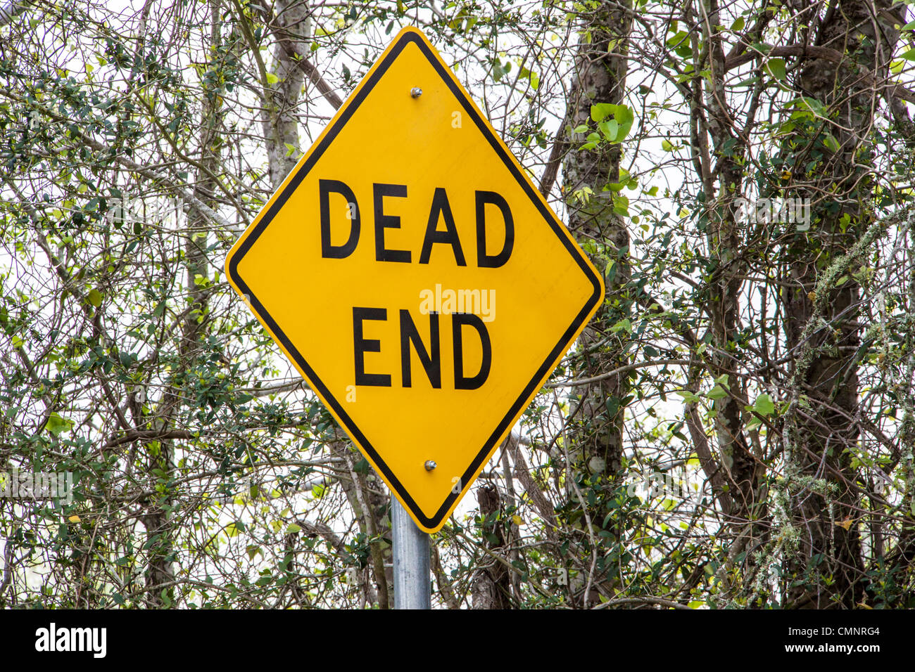 Dead End Sign on country road in rural Texas. Stock Photo