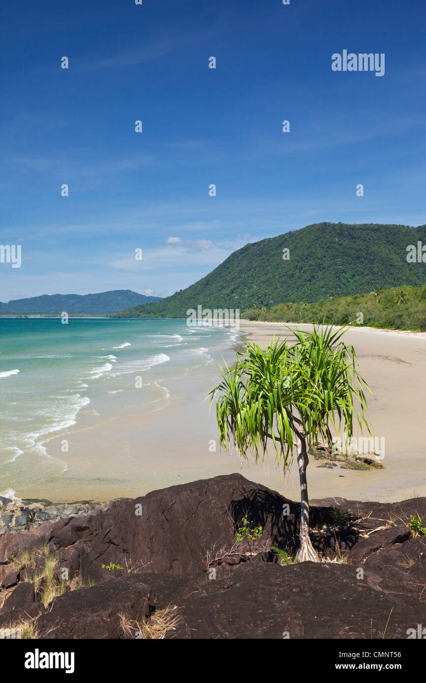 View along Noah Beach. Daintree National Park, Queensland, Australia Stock Photo
