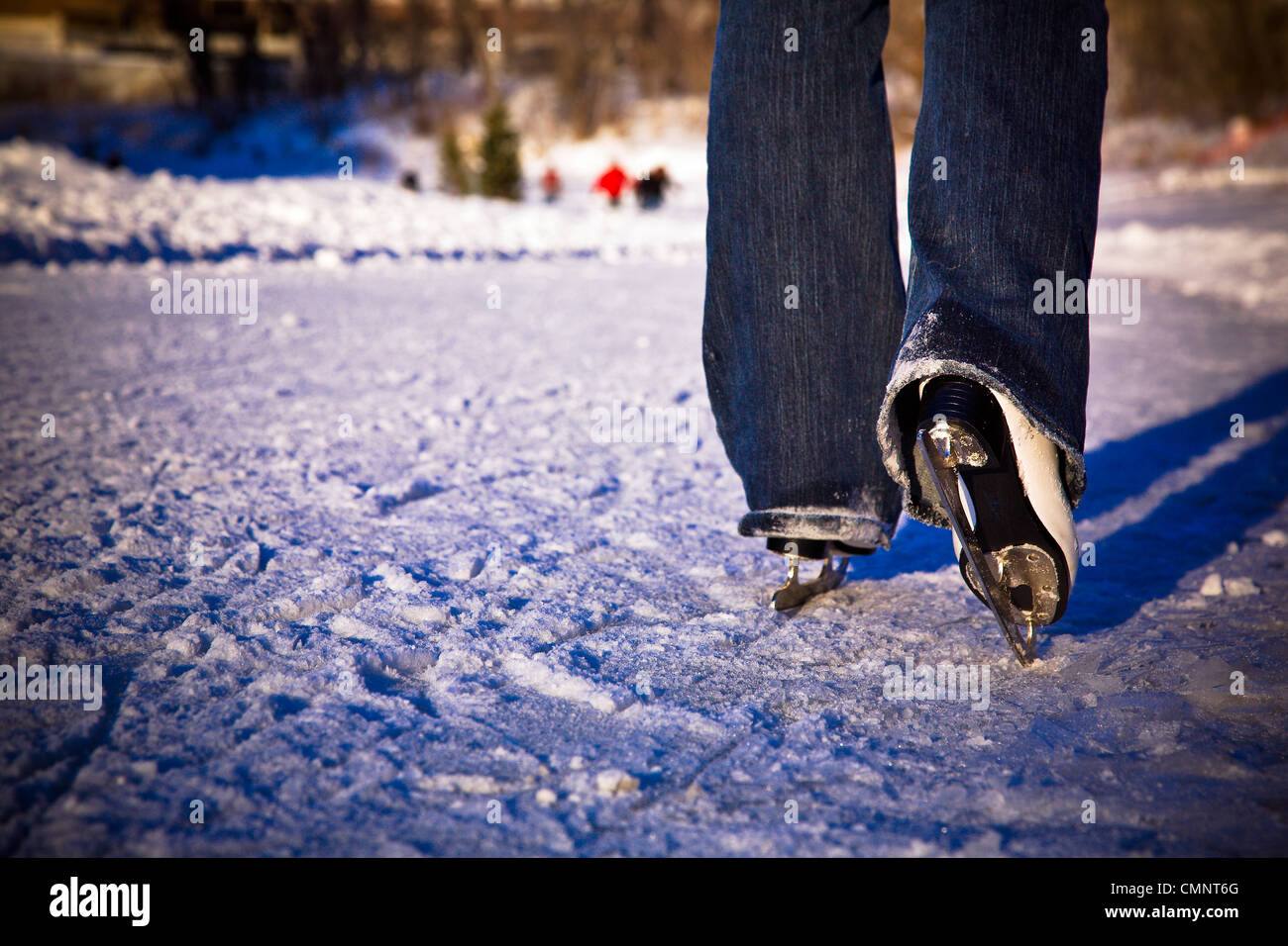 Close up of ice skates on Assiniboine River Trail, world's longest