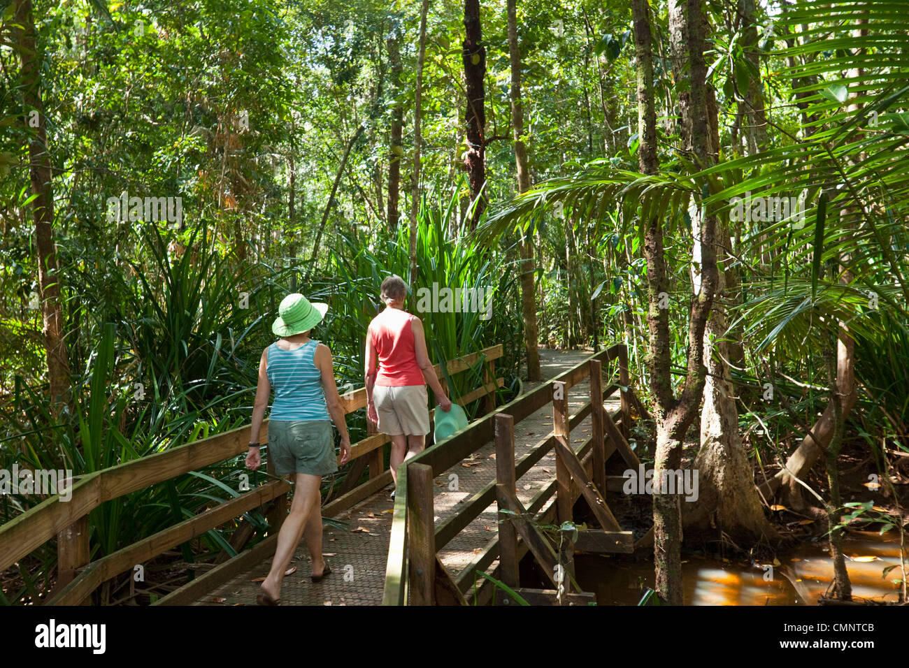 Tourists walking through wetlands rainforest on the Dubuji Boardwalk