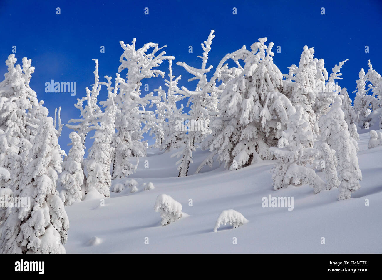 Elkhorn mountains hires stock photography and images Alamy