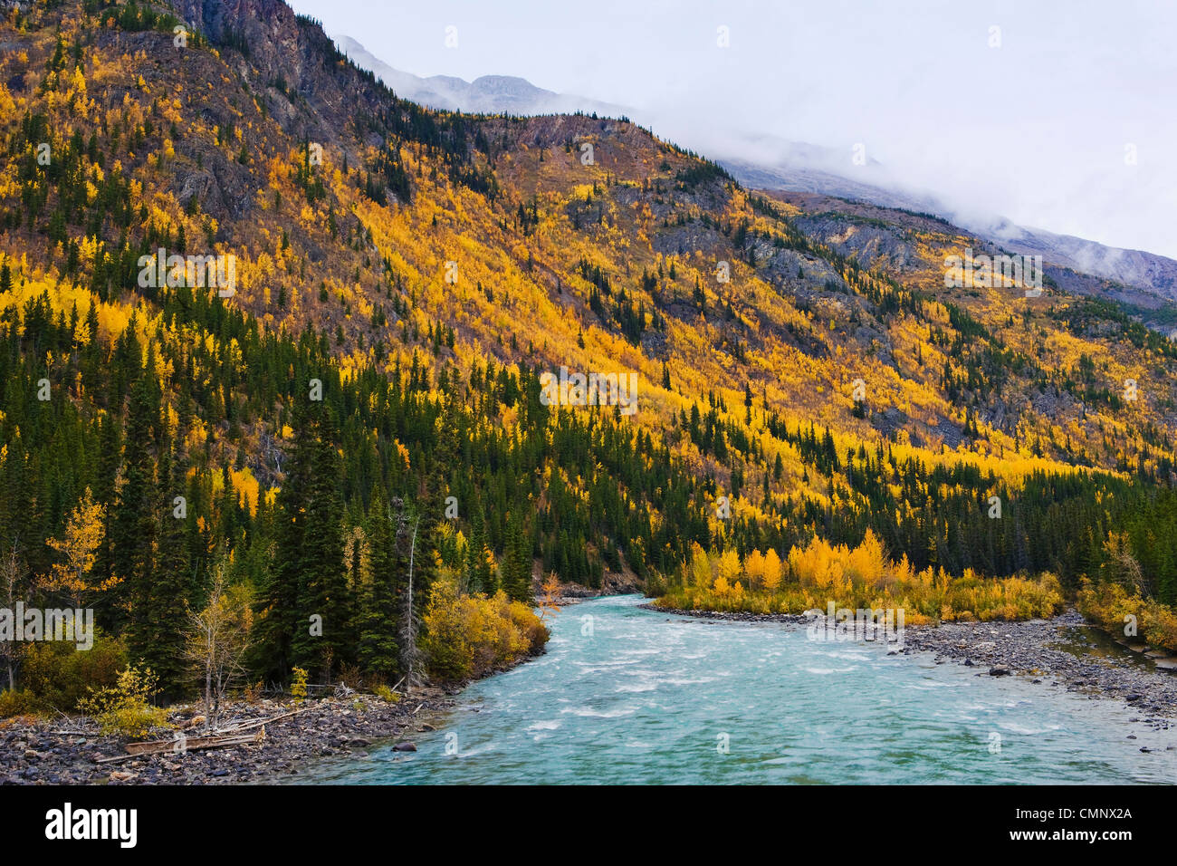 Toad river british columbia hires stock photography and images Alamy