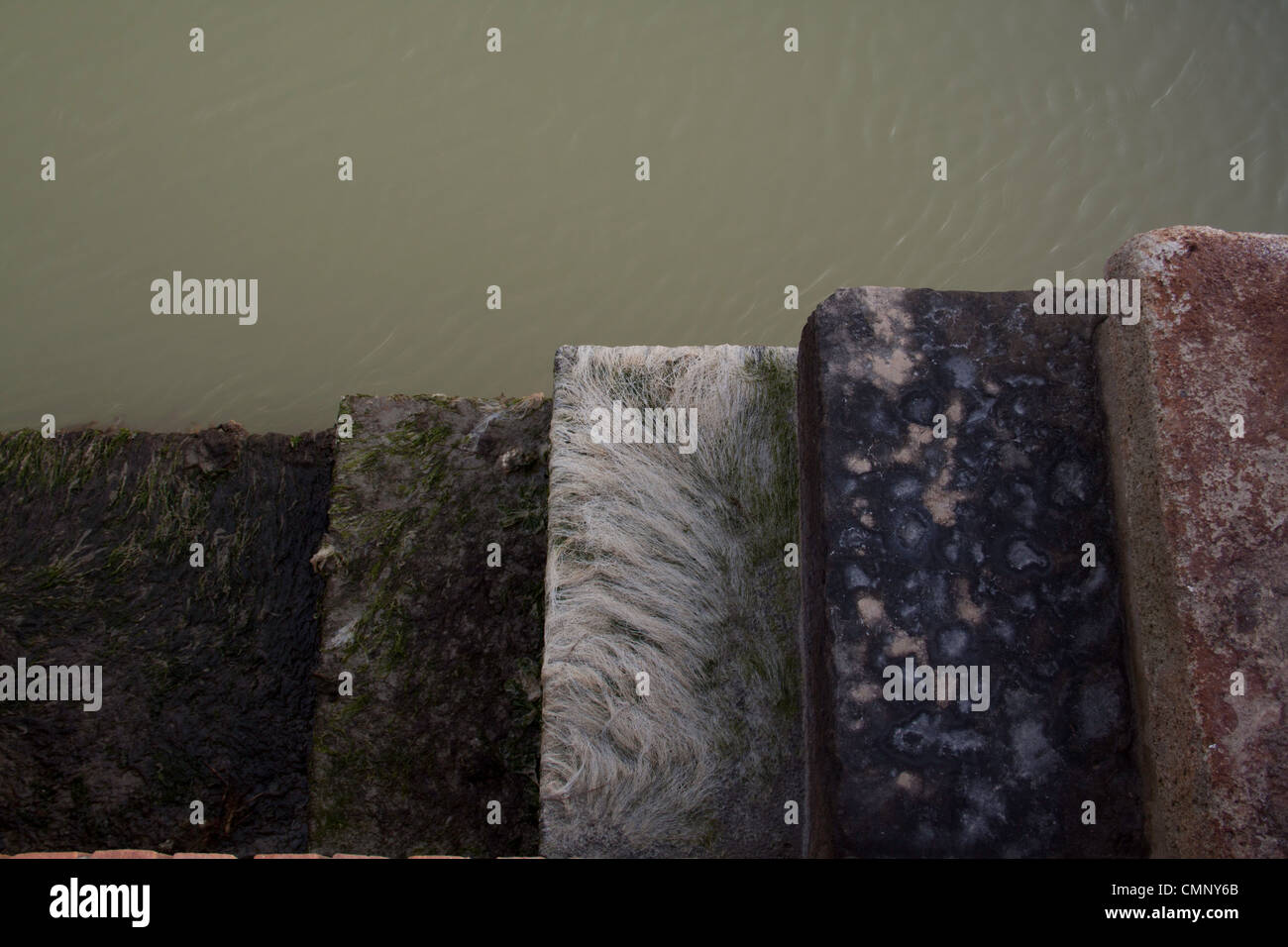 Each step painted by nature Stock Photo - Alamy