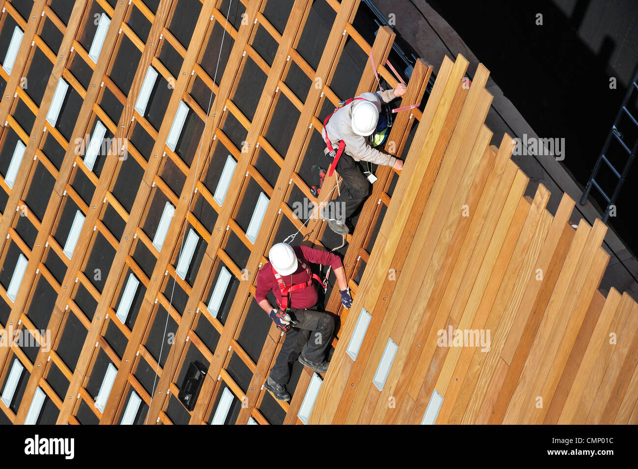 Construction workers / steeplejacks / roofers protected by safety harnesses, hard hats and ropes attaching wooden planks on roof Stock Photo