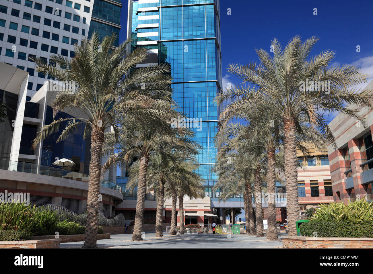 Miami, USA - March 20, 2021: Bulgari or bvlgari shop corner and palm trees  at night street of design district in Florida Stock Photo - Alamy