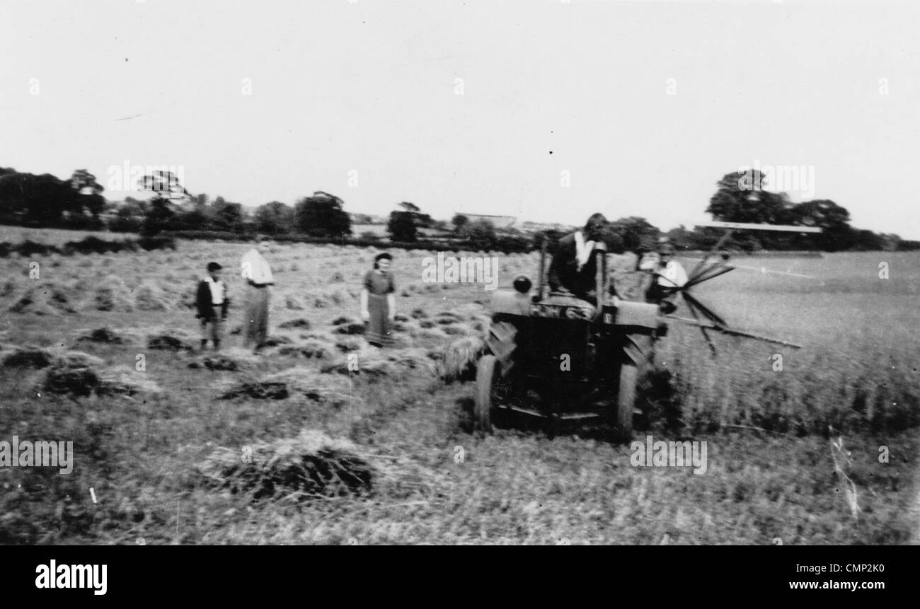 Highfields Farm, Warstones, 1940s. Harvesting oats on Highfields Farm. Stock Photo