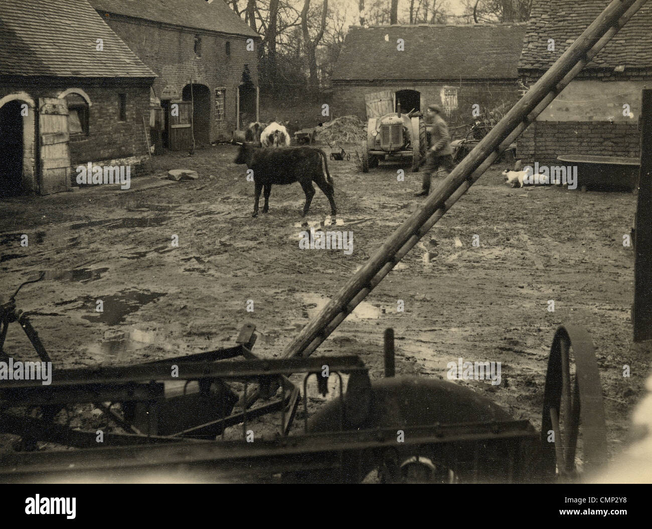Bushbury hi-res stock photography and images - Alamy