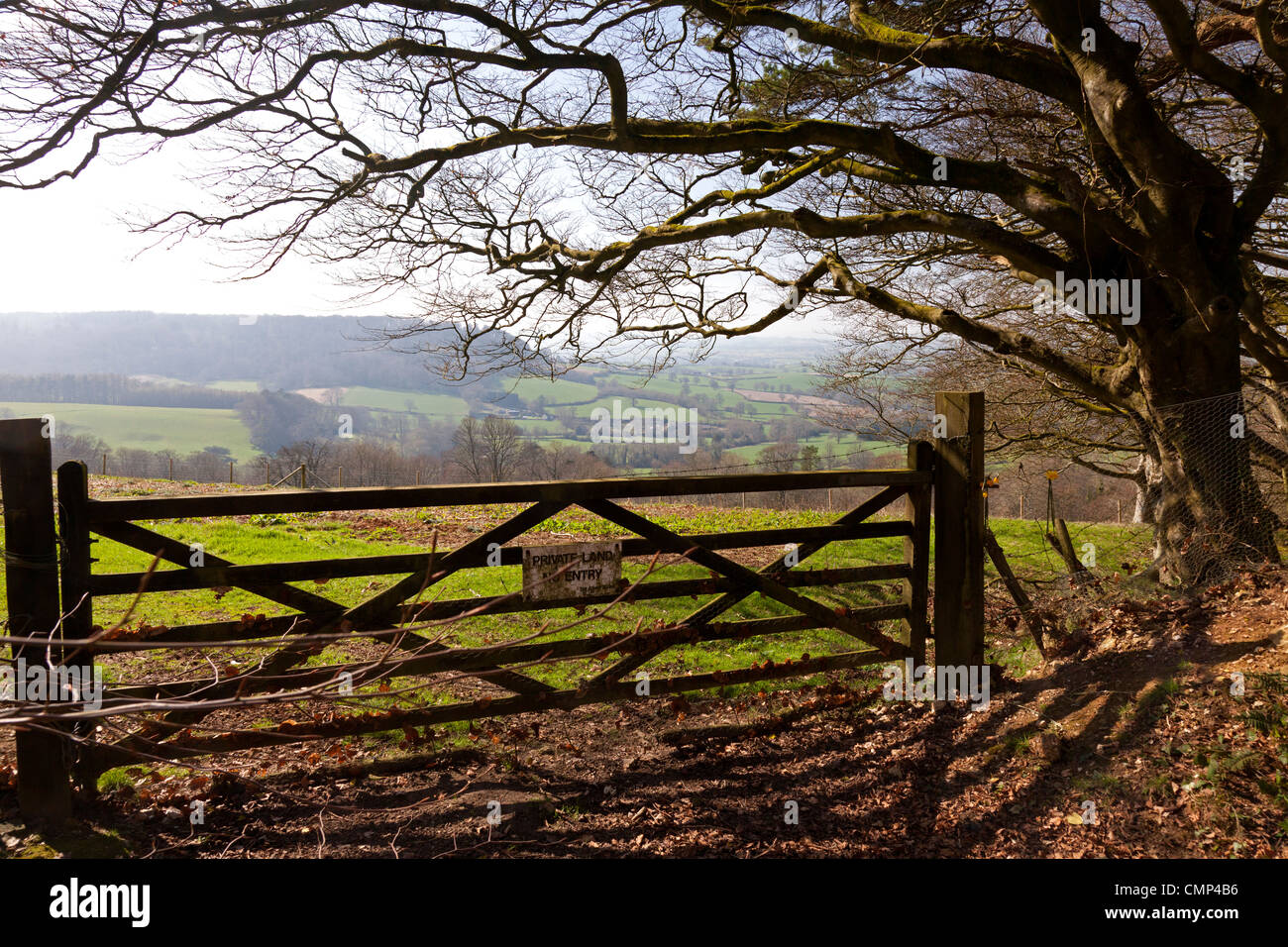 View across the Devon countryside from Gittisham Hill, Gittisham, Devon Stock Photo