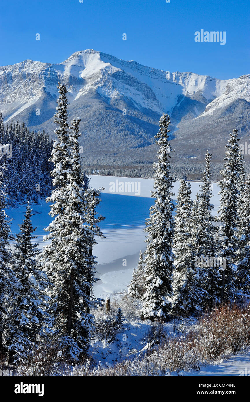 The snowcapped rocky mountains looking west from Brule Alberta Stock