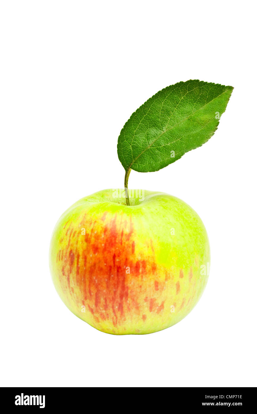 Apple isolated on white background Stock Photo Alamy