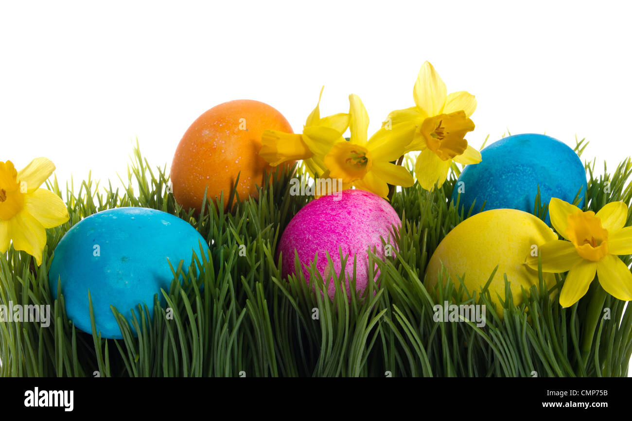 A group of colorful Easter eggs and daffodil flowers in the grass Stock ...