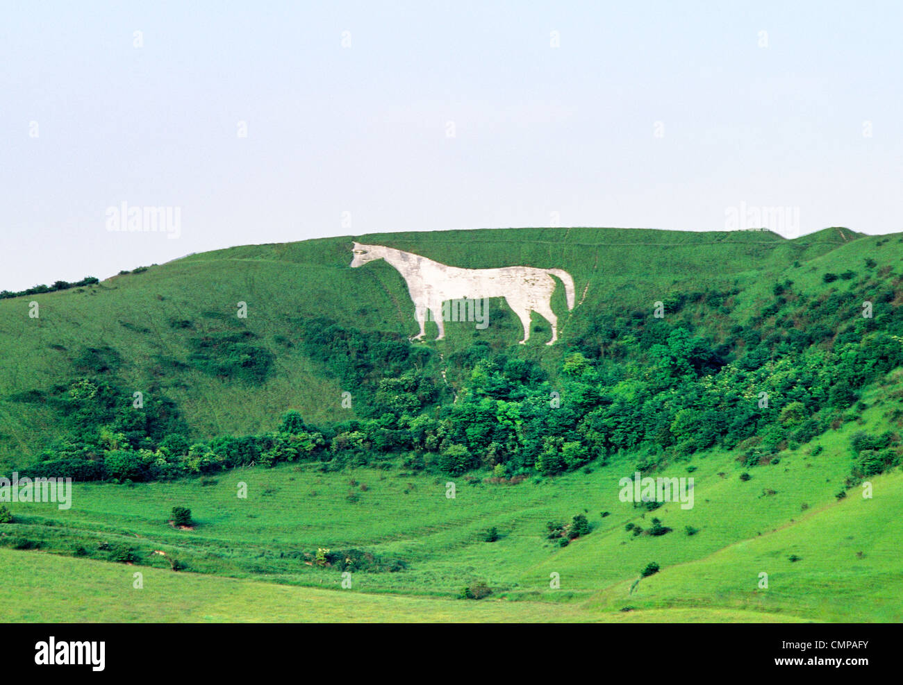 Westbury White Horse chalk hill figure below Bratton Camp Iron Age hill fort on the edge of