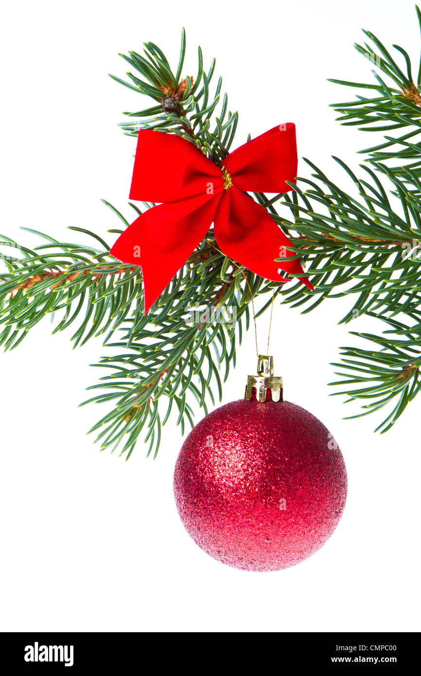 red christmas tree ball hanging from spruce isolated on white ...